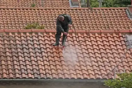 Nettoyage et démoussage de toiture à Rions à Rions